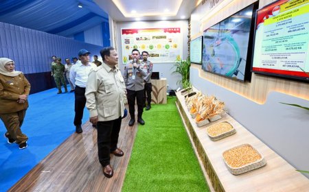 Cadangan Beras Nasional Cetak Rekor 5,3 Juta Ton